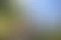 У четверти застройщиков в июне 2024 года ухудшилась ситуация с кадрами_667