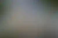 Agalarov Development вложит 113 млн долларов в апарт-комплекс в Ташкенте_976