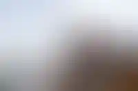 Регионы должны разработать программы помощи пострадавшим дольщикам в ИЖС — Минстрой_6255