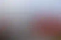 Миллиардер Максим Левченко приобрел 100% Fort Group_2983