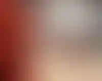 Брусника выходит на рынок Перми_1131