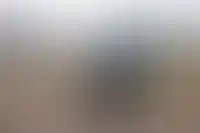 Семейная ипотека оказалась дешевле аренды в девяти мегаполисах РФ_4715