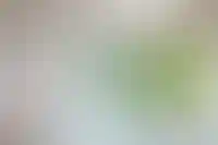 Ипотечное кредитование за ноябрь сократилось почти на четверть_1907