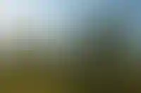 В&nbsp;Минстрое назвали ничтожно маленькой долю КРТ с&nbsp;расселением жилья
_134