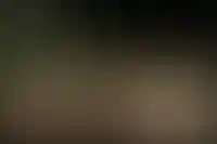 Доля апартаментов в структуре бронирований Сочи снизилась до 21% за год_5280