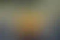 ЦБ объяснил замедление строительства жилья дефицитом кадров_2687