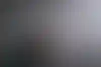 «Антарес» купил земли института им. Вавилова на Васильевском острове в Петербурге_3278