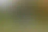 Власти обсуждают компенсации по семейной ипотеке в зависимости от количества детей_4747