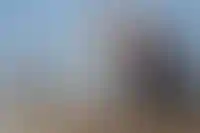 Число вакансий в строительстве в 2024 году выросло на 26%_868