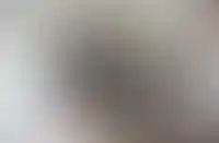 В Госдуме разработают законопроект об обязательных требованиях для риелторов_541