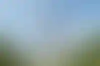 В Москве стартует строительство двух урбан-блоков на месте Тушинского аэродрома_964