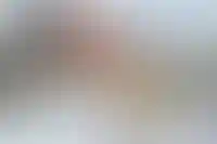 Как подключить электричество к участку: инструкция и стоимость_6189