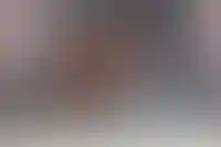 Число новых управляющих компаний с начала 2025 года выросло на 18%_2889