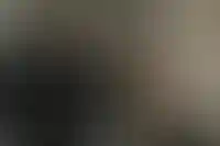 Наследников ипотечных должников на время освободят от обязательств по кредитам_3829