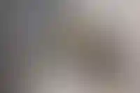 Петербург стал лидером по росту стоимости долгосрочной аренды квартир_3852