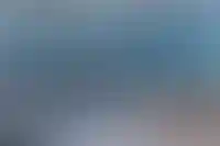 Ректора стройвуза обвинили в легализации более 500 мигрантов под видом студентов_5374