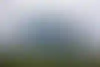 Новая высота: как небоскребы меняют облик современных городов_2902