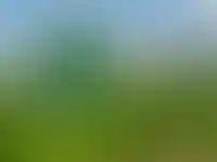 Ухудшения ситуации в отрасли ожидают до 59% застройщиков_3354