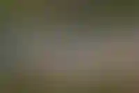 КРТ в сегменте ИЖС сдерживают нормативы по социальной инфраструктуре — ДОМ.РФ_3600