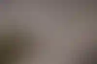 Население в проекте &laquo;Нового Краснодара&raquo; сократилось на 50 тыс. человек за полгода_236