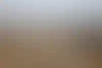 Почему завещать место на кладбище невозможно_8018