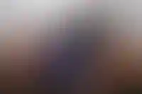 Владимир Путин подписал закон о создании в Max домовых чатов_5347