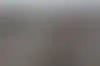 Более 1,7 тыс. домов, пострадавших от паводка, снесут в Оренбургской области_233