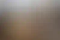 Минстрой РФ оценил объем строительного рынка ДНР и ЛНР в 800 млрд рублей_2892