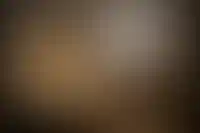 Ценовой разрыв на жилье в Петербурге достиг рекордных 1,4 тыс. раз_2449