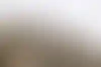 В Госдуме предложили финансировать сельскую ипотеку за счет прибыли ЦБ_2607