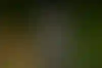 Александр Лагутов: «Элитный девелоперский продукт — время оптимизировать или развивать?»_4291