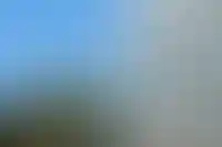 В Сочи 70% от общего числа покупателей недвижимости России приобрели жилье в качестве инвестиции_1005