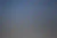 Отели Дубая продлят проживание туристам из-за отмен авиарейсов_5803