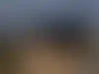 Рынок ипотеки в ИЖС за год вырос в два раза, банки выдали более 1 трлн рублей
_108