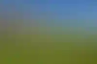 Доходы от аренды жилья в России стали в три раза ниже банковских вкладов_809