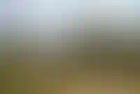 Аренда загородных домов в Подмосковье дороже соседних регионов в три раза_8227
