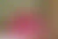 Матвиенко предложила выдавать «семейную ипотеку» по месту прописки_3742