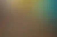 Динамика роста продаж товаров для дома и ремонта замедлилась в два раза за год_6068