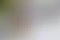 Суд в Благовещенске оставил квартиру покупателю в сделке с жертвой мошенничества_5069