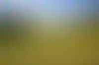 Госдума решила запретить оборот земельных участков с не установленными границами_1281