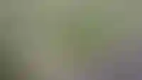 Три проекта российского архбюро KPLN стали победителями международной премии
