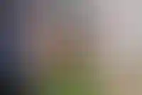 Долги по зарплате в строительстве за 3 месяца сократились в 1,4 раза_4320