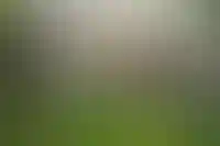 Лидером по стоимости «квадрата» в домах в сентябре стал Санкт-Петербург_1562