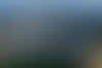 Суд наложил арест на активы владельца сгоревшего склада Ozon в Подмосковье_2606