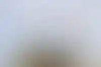 Оксана Моисеева назначена директором по продажам девелопера «Пионер»_6230