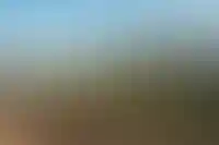 Стоимость недвижимости за год упала только в одном городе-миллионнике_1384