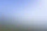 Геленджик обогнал Сочи по росту цен на краткосрочную аренду в августе 2024 года_1011