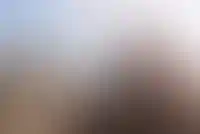 Возле Пулково выставили на продажу участок земли, на котором можно построить отель_863