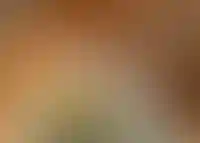 ДОМ.РФ: в 2025 году на ИЖС придется каждая десятая ипотека_2457