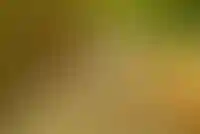 Семейная ипотека с 1 апреля распространится на вторичное жилье_2703